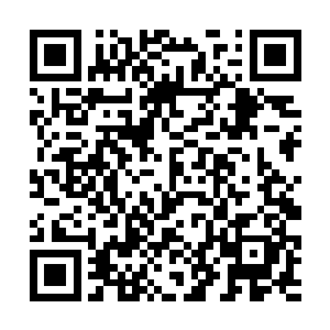 囊括大陆的青金红三色胞膜看上去是浮在海面上旭日二维码生成