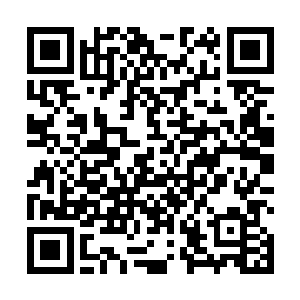 囚牛把我眼前所能见到的所有的敌方仙修赶入困兽笼后二维码生成