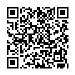 四万五千个和三万五千个道尔顿亚基的寡聚结构二维码生成