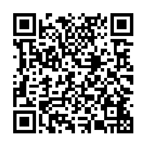 四个人坐在沙发上看着里面的林烽和赵源的小队伍二维码生成