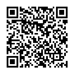 四个人都是非常谨慎地先是给自己释放了一个法术护盾二维码生成
