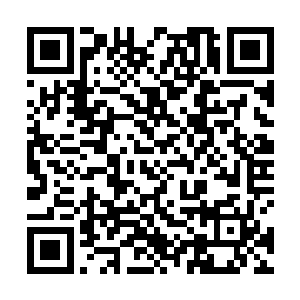 四个大乘期修士联手将上古许家彻底从苍茫大陆上抹去二维码生成