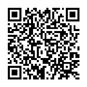 四个月前与警察的冲突……都能帮助我们勾勒出一幅标准的二维码生成