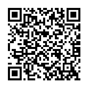 四人中就只剩下已经是三瓣梅花的乌蒙还未开口二维码生成