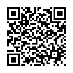 四人便碰到了一群人头大小的血妖蚊二维码生成