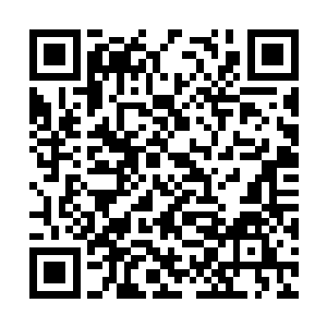 四人刚刚的注意力全集中在噤若寒蝉的林若溪身上二维码生成