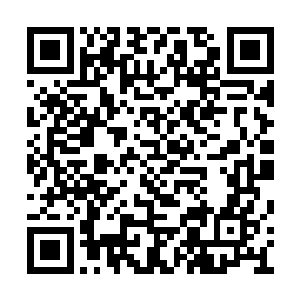 四位前辈现在可以让那些攻击禁阵的道友停手了二维码生成