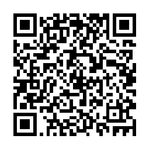 四位天王虽然拿到了鬼市一网打尽人员审讯的复查权二维码生成