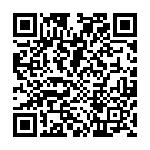 四位女孩子却像是看到了什么迷恋的明星一样尖声叫了起来二维码生成