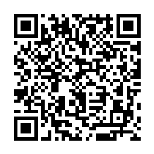 四位守护图腾之柱的施法者都感觉到了结界弱化了无数倍二维码生成