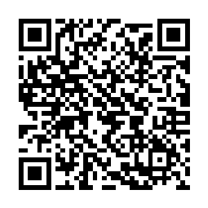 四位皇级炼药师的脸上全都涌现出绝望悲伤的情绪二维码生成