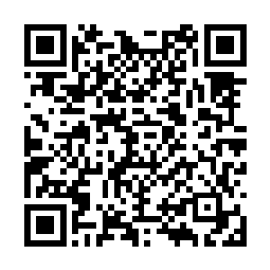 四兄弟没事的时候谈论最多的女人就是冰花四姐妹二维码生成