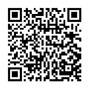 四十九个修士在疯狂地收集着混沌兽的尸体和域外天魔的精魄二维码生成