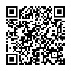 四十五条的巨型海蛇仿佛将七八万美日韩士兵当成了玩物二维码生成