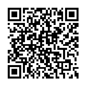 四叔会在你哭得那么凄惨的时候塞给别人带走吗二维码生成