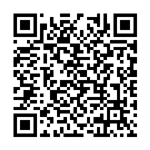 四叔和四婶为了王府安定可能不会再立你为世子了二维码生成