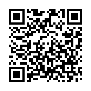 四只拳头大小的白鹤在如伞华盖中飞舞二维码生成