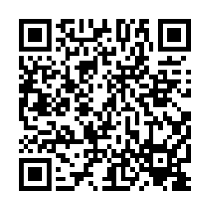 四名主力毫无疑问都是各有一项s级专精的顶尖玩家二维码生成