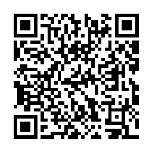 四周不断向内挤压生长的青石被噬金蚁不断啃噬着二维码生成