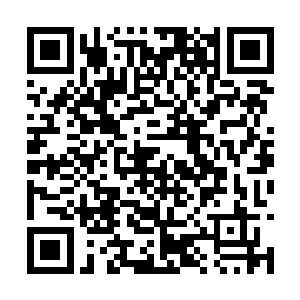 四周围五大中医世家的弟子一个个目光瞪大得滚圆二维码生成