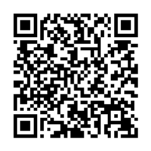 四周奇形怪状的树木都像是被烈焰焚烧成了焦炭二维码生成