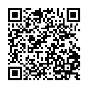 四周尽都是采用参天大树的树身作为支柱支撑起来二维码生成