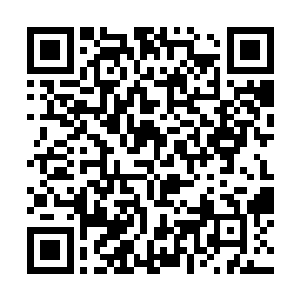 四周暗暗保护着杨肖玫的马里奥人马也全都警惕起来二维码生成