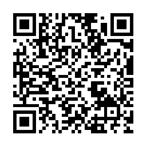四周的人顿时如同打了鸡血一样再次沸腾起来――但别说打鸡血二维码生成