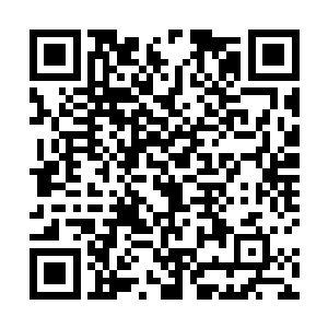 四周的幽冥鬼爪就好像直接遇到了什么锋利的东西一样二维码生成