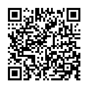 四周的灵气也是不断的通过我的皮肤浸入我的身体二维码生成