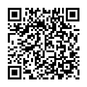 四周的苍天古树就如同恐怖的魔鬼一般张牙舞爪二维码生成