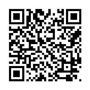 四圣树森林为何会支持身为外来者的他二维码生成