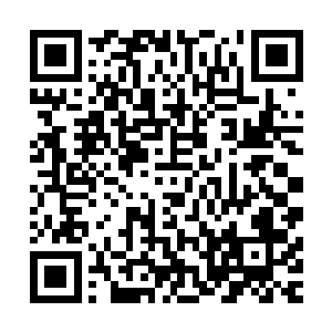 四大仙灵域的妖灵域中一个超级大宗门派驻在灵墟之地的分舵二维码生成