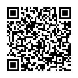四大传承武技和其他能够融合异火的武技一旦和苍澜玄火融合二维码生成