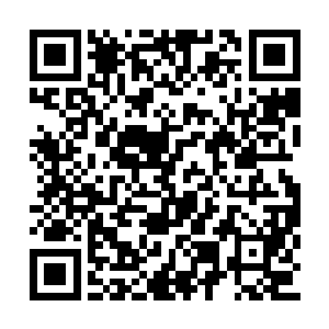 四大势力十大玄主率领大军正在攻击第二层阵法二维码生成