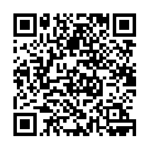 四大圣地自然便是以妖族四大妖圣为主的四大势力的大本营二维码生成