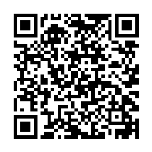 四大家族中排行第一和第三的两大家族就合成了一股二维码生成