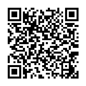 四大家族领地内都会爆发无数示威游行和非法集会二维码生成