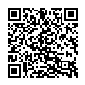 四大执事和两个长老这一次看得下巴都快惊掉了二维码生成