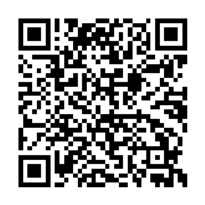 四大源境强者称尊的时代便从未听说有谁登临过二维码生成