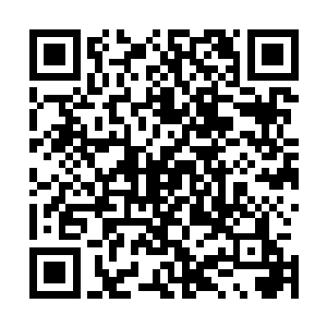 四大超级势力根本就猜不到许琴扬究竟会突袭哪个三流家族二维码生成