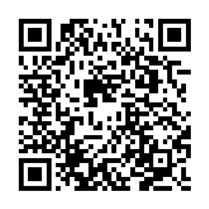 四大选帝侯联军所剩无几的稍有战略头脑的修仙者二维码生成