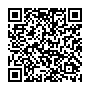 四大骑士的轮番进攻当中不断寻找着光之骑士的气息二维码生成