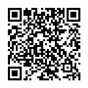 四娘扫视完僵尸之后目光不经意之间刮过了季宸渊二维码生成