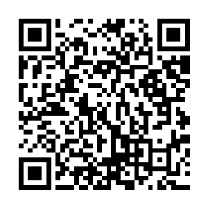 四扇大窗户和仅剩的那半扇玻璃门全都变成了碎片落在地上二维码生成