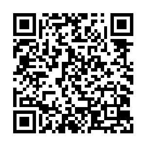 四斤半的大肘子得两三百斤的大猪的后蹄才能出二维码生成