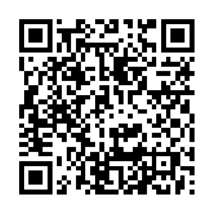 四方宿主这样做无非是看上了苗毅巨大的利用价值二维码生成