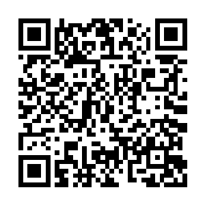 四方王说这个少年实力不过元灵境一二重的样子二维码生成