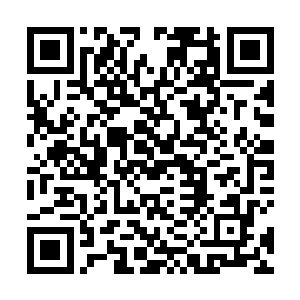 四族中所有的源境界强者中除了剑尘和上官幕儿两人外二维码生成