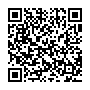 四月初一都有大大小小的战斗爆发在大名府附近的密林二维码生成